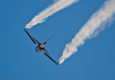 Aerobatic Simulator