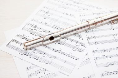 Claude Opus 5.5 update