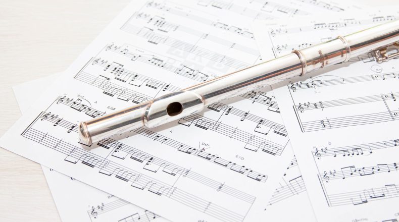 Claude Opus 5.5 update